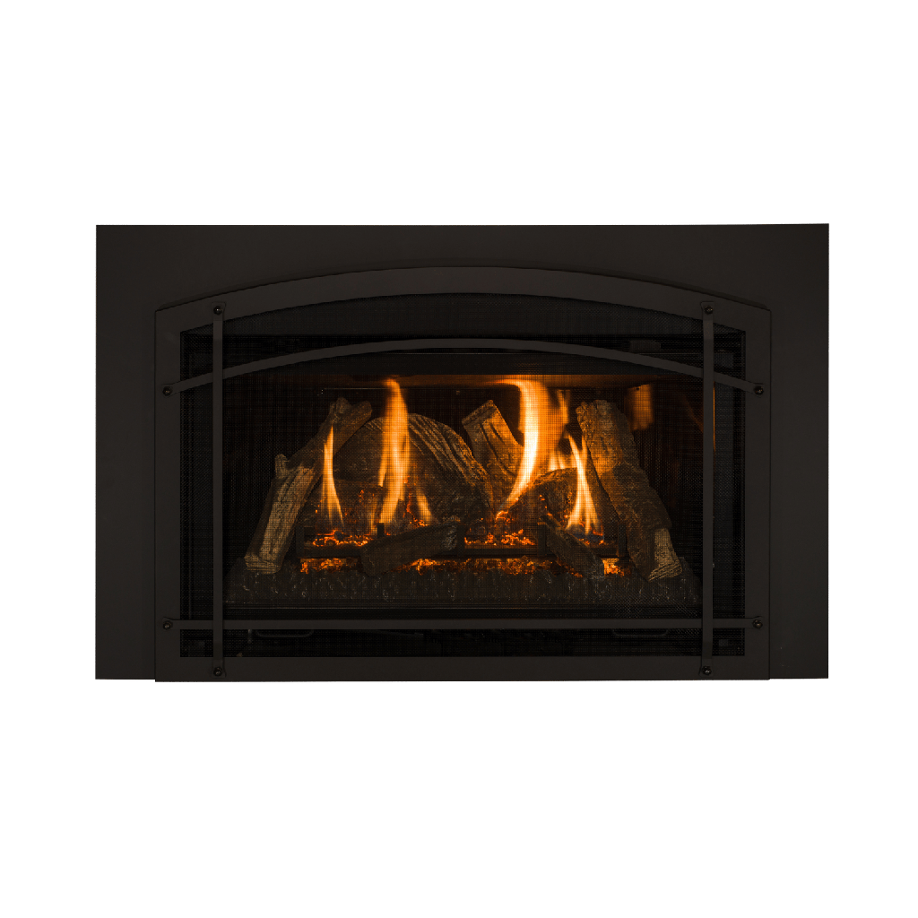 Gas Insert Chaska 29, NG, IPI, Log
