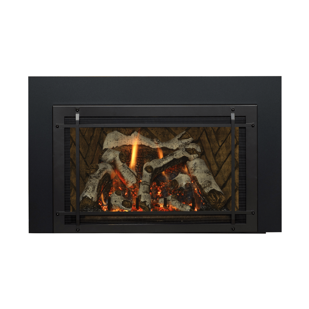 Gas Insert Roosevelt 29, NG, Birchwood Log Set